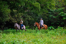 Costa Rica-Pacific Coast-Rainforest Multisport Adventure in Costa Rica